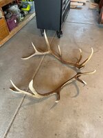 IMG_7104.jpeg