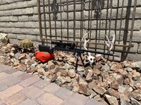 IMG_1070.jpeg