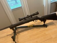 IMG_0516.jpeg
