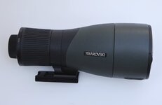 Swa-stx-85-10.jpg