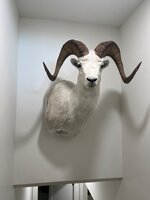 IMG_5625.jpeg
