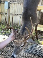 IMG_2198.jpeg