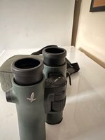 IMG_3095.jpeg