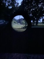 IMG_3386.jpeg IMG_3386.jpeg