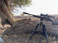 IMG_7255.jpeg