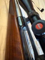 IMG_6460.jpeg