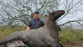 IMG_1103.jpeg IMG_1103.jpeg