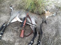 IMG_0058.jpeg IMG_0058.jpeg