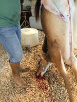 IMG_0256.jpeg IMG_0256.jpeg