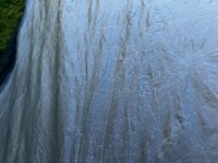 IMG_4667.jpeg
