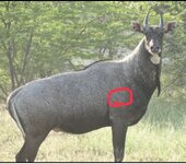 IMG_1309.jpeg IMG_1309.jpeg