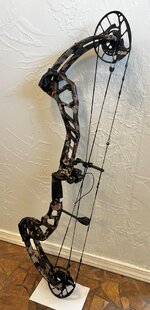 IMG_1410.jpeg