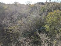 PXL_20250113_150930207.jpg