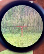 IMG_9408.jpeg