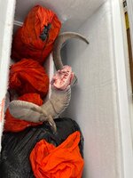 IMG_1349 2.JPG