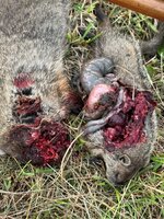 IMG_3030.jpeg