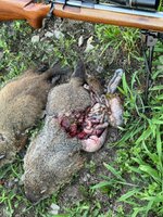 IMG_3019.jpeg