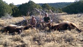 Lauren's first bull.jpg