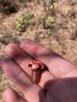 IMG_4983.jpeg