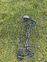 IMG_7382.jpeg