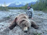 grizz.jpg