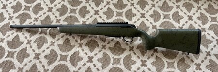 IMG_2282.jpeg