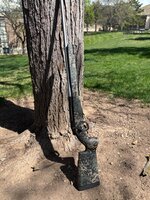IMG_3146.jpeg