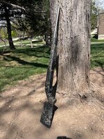 IMG_3145.jpeg