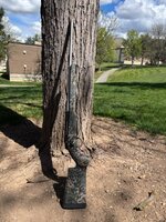 IMG_3144.jpeg