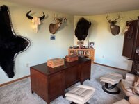 IMG_6284.jpeg