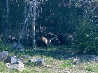 IMG_6588.jpeg