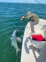 IMG_3793.jpeg