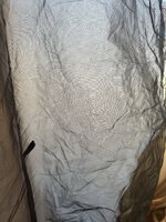 IMG_2542.jpeg