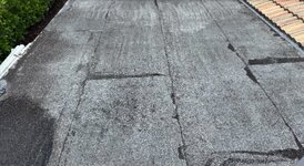 IMG_7960.jpeg