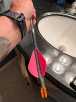 IMG_7672.jpeg
