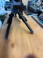 IMG_4613.jpeg