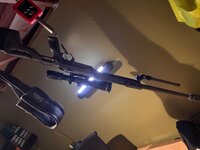 IMG_2010.jpeg