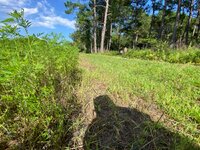 IMG_3454.jpeg