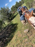 IMG_3255.jpeg
