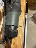 IMG_6585.jpeg