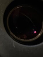 IMG_6587.jpeg