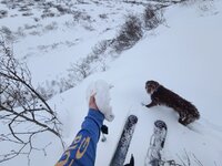 20230129_102402.jpg