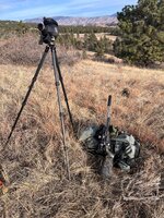 IMG_6957.jpeg