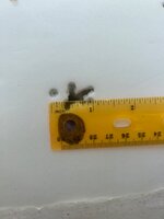 IMG_4993.jpeg