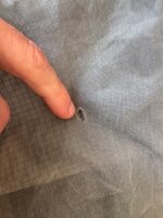 IMG_5588.jpeg