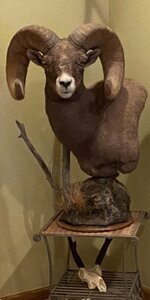 IMG_2321.jpeg