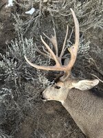 IMG_1578.jpeg