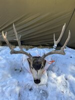 IMG_3824.jpeg