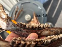 IMG_2492.jpeg