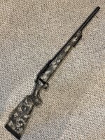 IMG_2461.jpeg